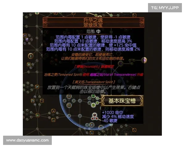 最佳刺客装备搭配与伤害提升技巧全攻略