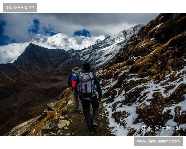 全方位全面洞悉瓦尔迪角色魅力的十项核心你必须了解的要素详指南